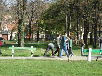 Faültetési akció