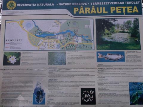 PET-palack gyűjtés