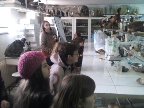 A nagyváradi egyetem zoológiai laboratóriuma