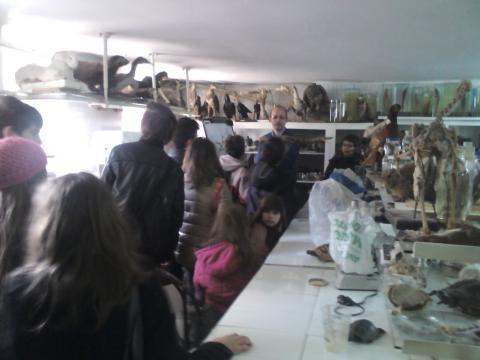 A nagyváradi egyetem zoológiai laboratóriuma