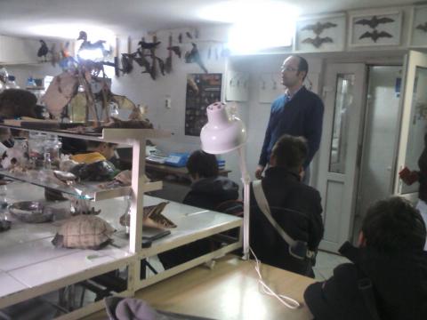 A nagyváradi egyetem zoológiai laboratóriuma
