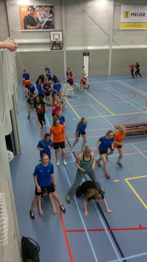 Holland diákcsere – második forduló